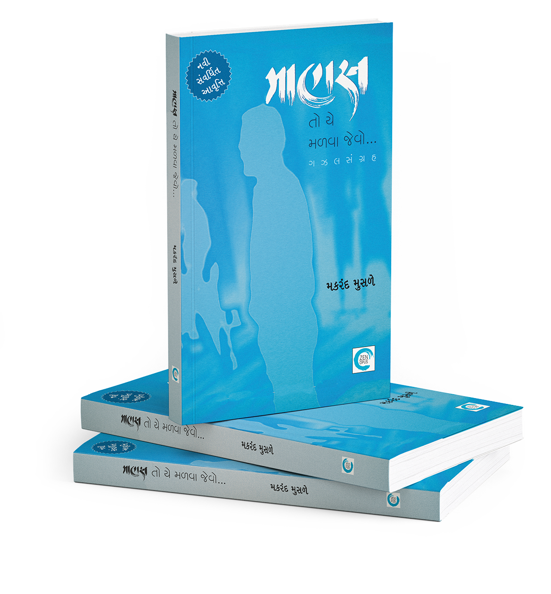 માણસ તો યે મળવા જેવો...